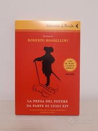 La presa del potere da parte di Luigi XIV