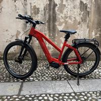 Bicicletta elettrica Riese&Müller Charger3
