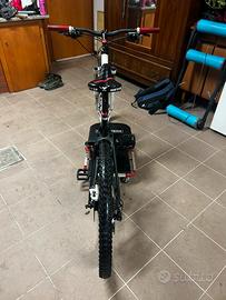 Mtb Canyon