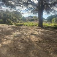 Terreno agricolo all'Elba