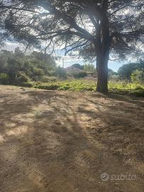 Terreno agricolo all'Elba