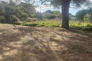 Terreno agricolo all'Elba