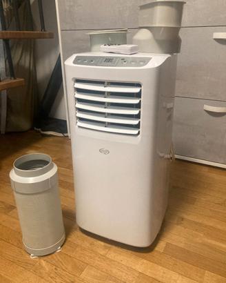 Climatizzatore + Deumidificatore Argo Swan Evo