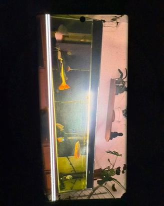 acquario 3 mt x 50 cm x 60 cm circa