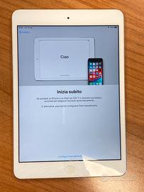 iPad mini 2