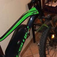 bici mtb pedalata assistita