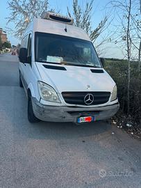 Furgone Frigo Isotermico Mercedes Sprinter 313
