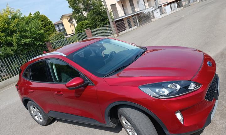 FORD Kuga 3ª serie - 2021