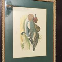 quadro 