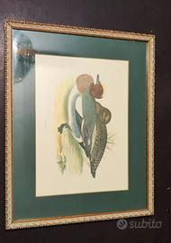 quadro 