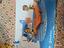 Immagine 5