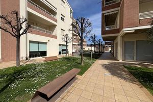 MULTILOCALE A PINETO