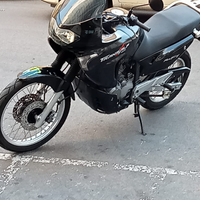 Honda Transalp 650 anno 2001