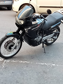 Honda Transalp 650 anno 2001