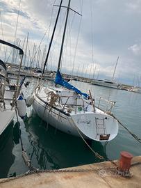 Barca a vela Comet 801 plus