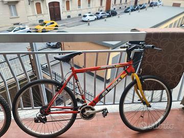 bicicletta adulto