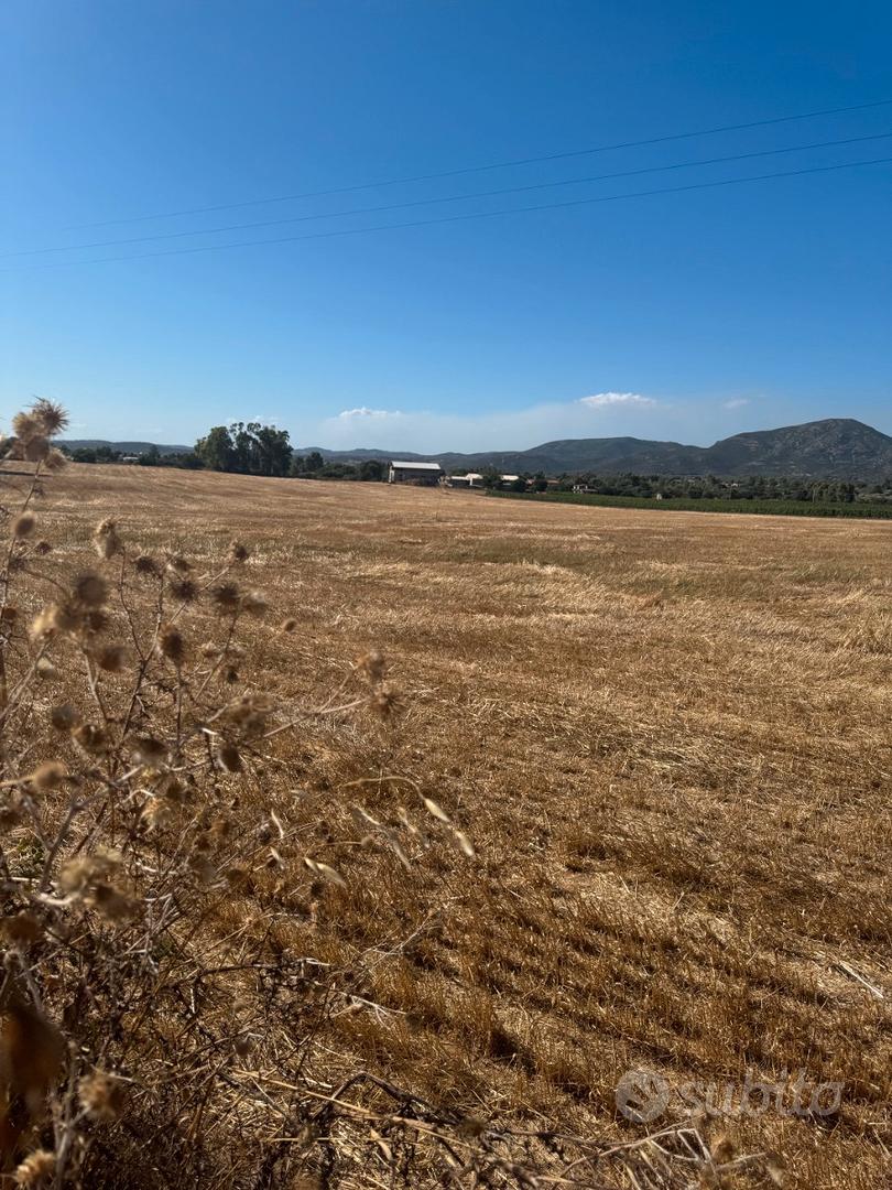 DOLIANOVA: Terreno recintato zona tranquilla - Vista 4