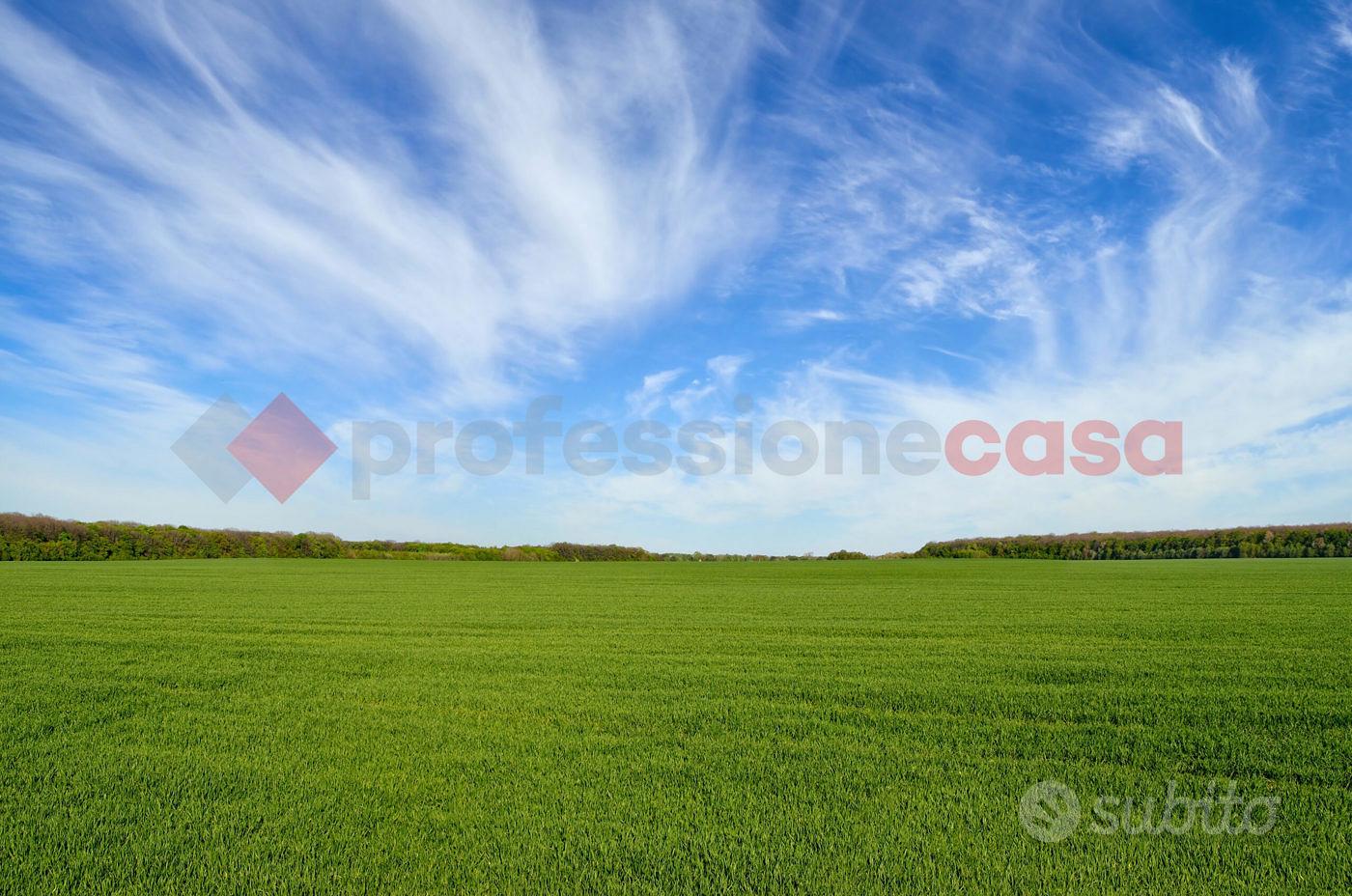 Terreno Agricolo Anagni [Cod. rif 3263465VCG] - Vista 6