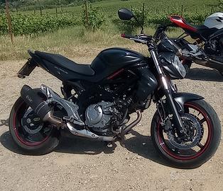 Suzuki sfv gladius 2013