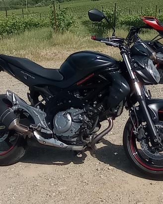 Suzuki sfv gladius 2013