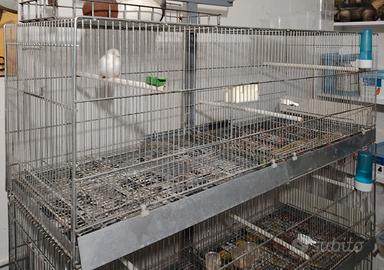 voliera gabbia zincata 120 cm