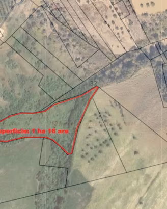 Terreno agricolo Manoppello