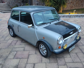 Austin Rover Mini