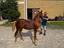 Immagine 3