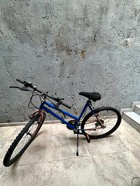 Bici donna 26