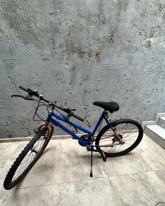 Bici donna 26