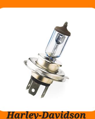 LAMPADINA FARO AD ALTE PRESTAZIONI H-D