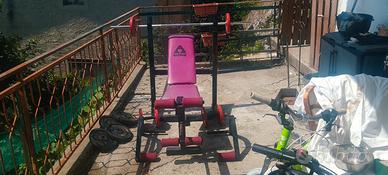 palestra