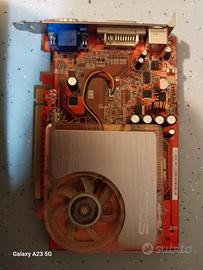 scheda video asus