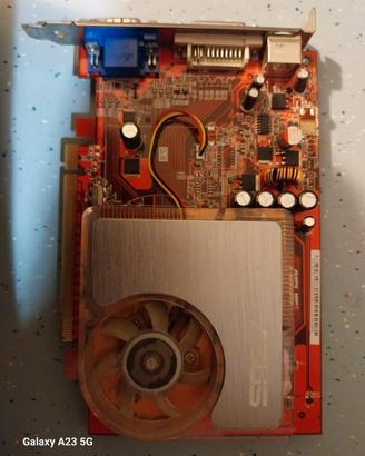 scheda video asus
