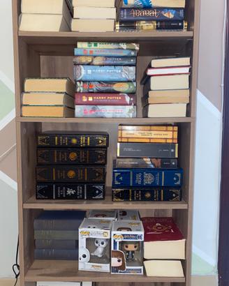 Libri harry potter e il signore degli anelli