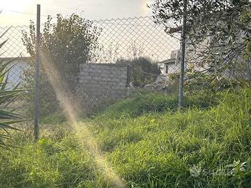 RGE 37/2024 Trib Pesaro - LOTTO 2