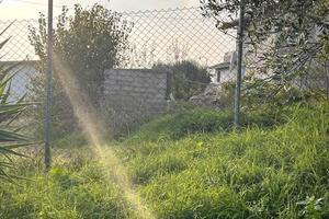 RGE 37/2024 Trib Pesaro - LOTTO 2