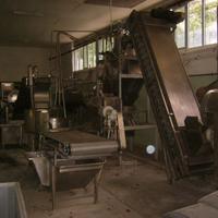 Impianto lavorazione vongole