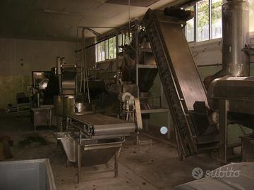 Impianto lavorazione vongole