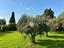 Immagine 22