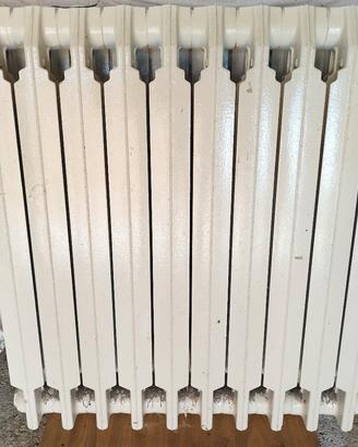 Termosifone in alluminio 10 elementi 