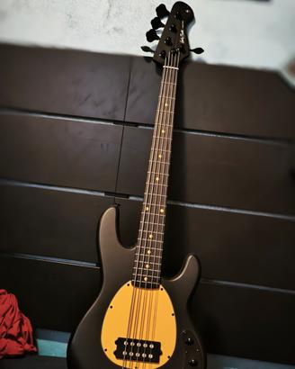 Basso  5 corde 