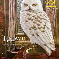 Hedwing - Civetta Harry Potter