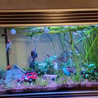 Acquario completo 130L con filtro, luci e arredame