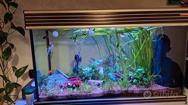 Acquario completo 130L con filtro, luci e arredame