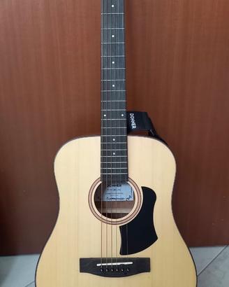 Chitarra DONNER