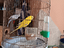 Immagine 2
