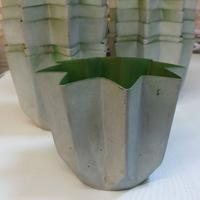 15 Stampi Pandoro 500 gr