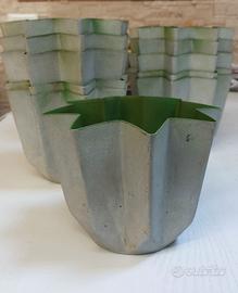 15 Stampi Pandoro 500 gr