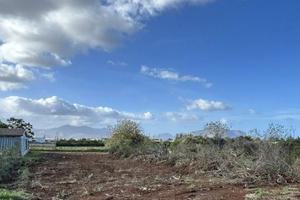Ciaculli/Conte Federico - Terreno di 1000 mq